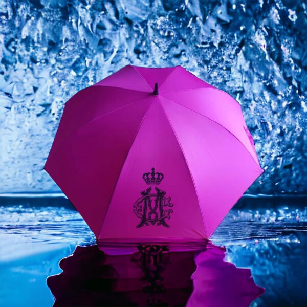 Windproof Umbrella - Image 2