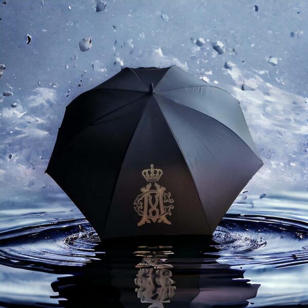 black umbrella